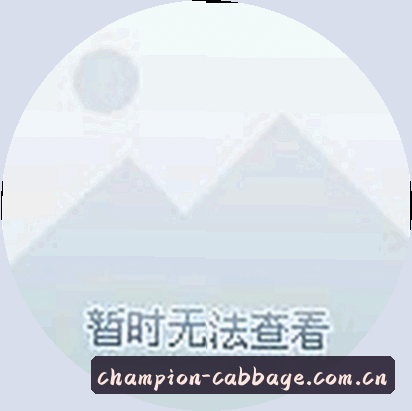 孙悦