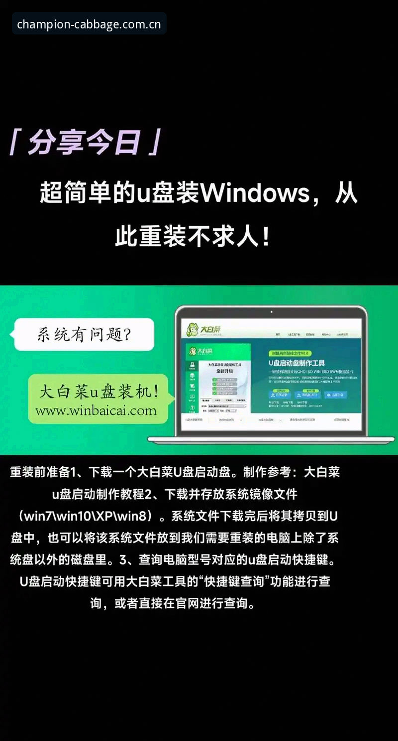 冠军白菜安装教程官方下载：从零到一的完整操作指南